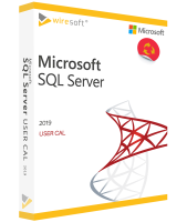 MICROSOFT SQL SERVER 2019 USER CAL MICROSOFT SQL SERVER 2019 USER CAL